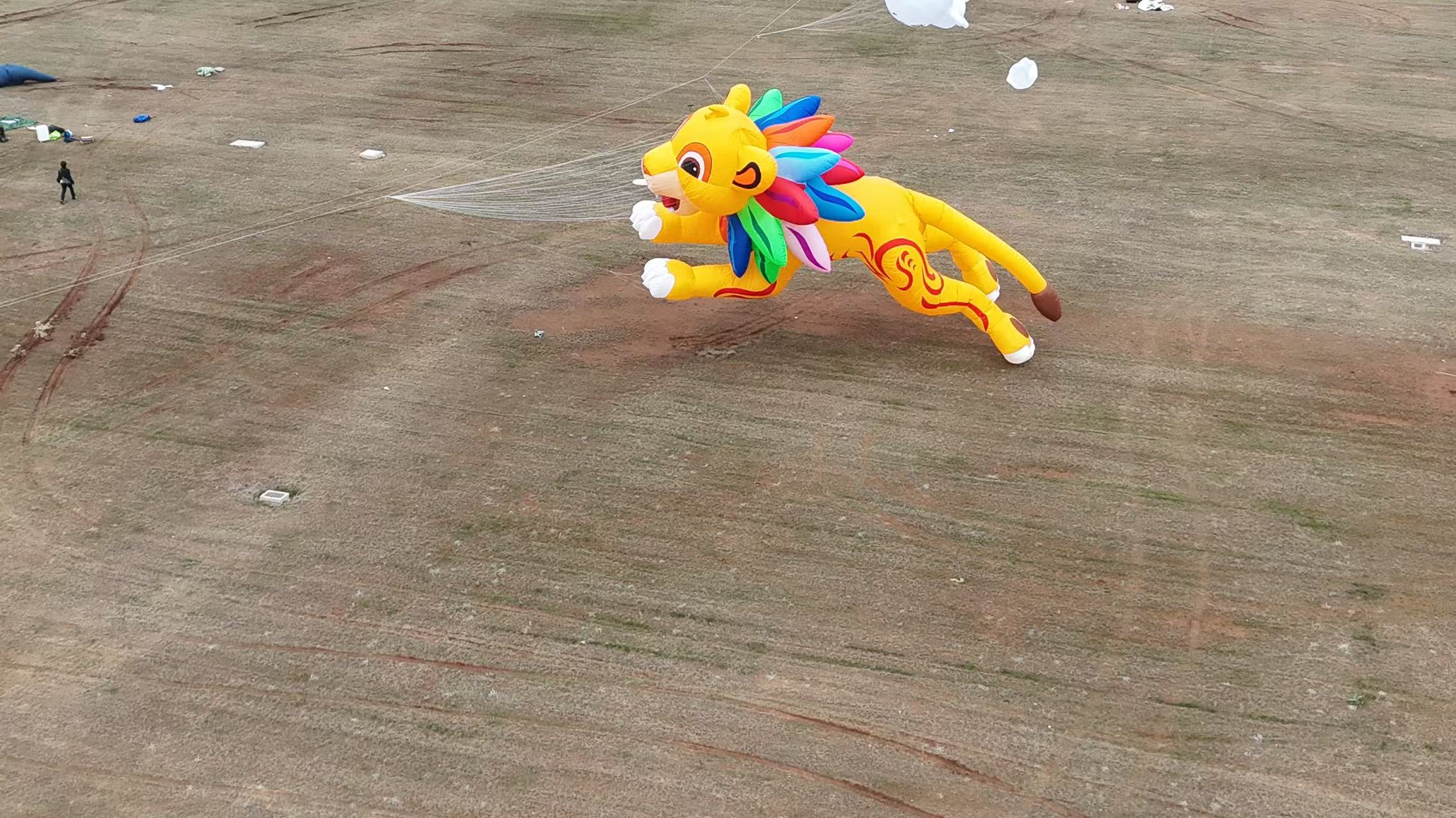 巴彦淖尔市品牌风筝定制风筝批发 - 价格