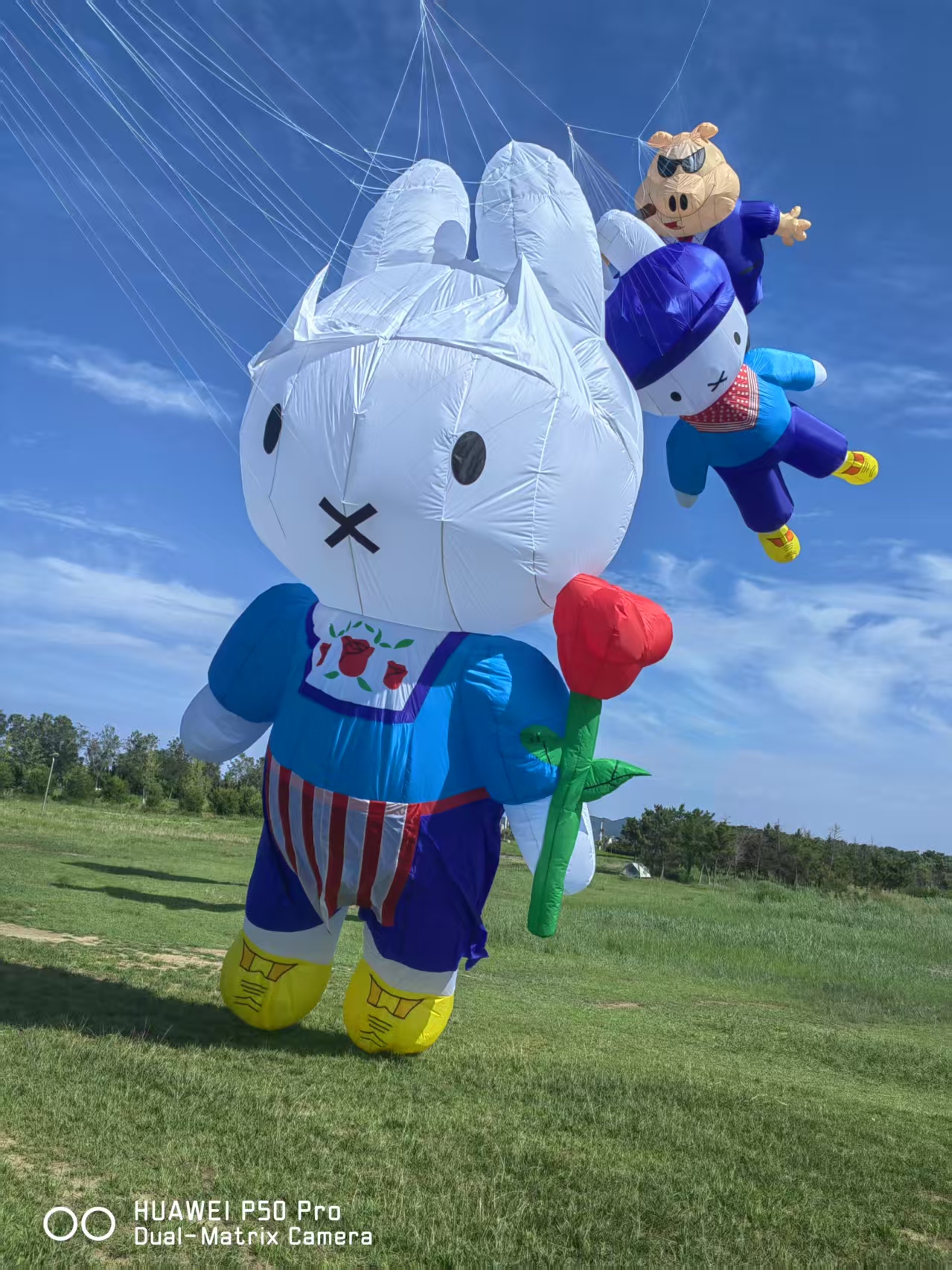 巴彦淖尔市儿童风筝定制宣传风筝定制 - 排名